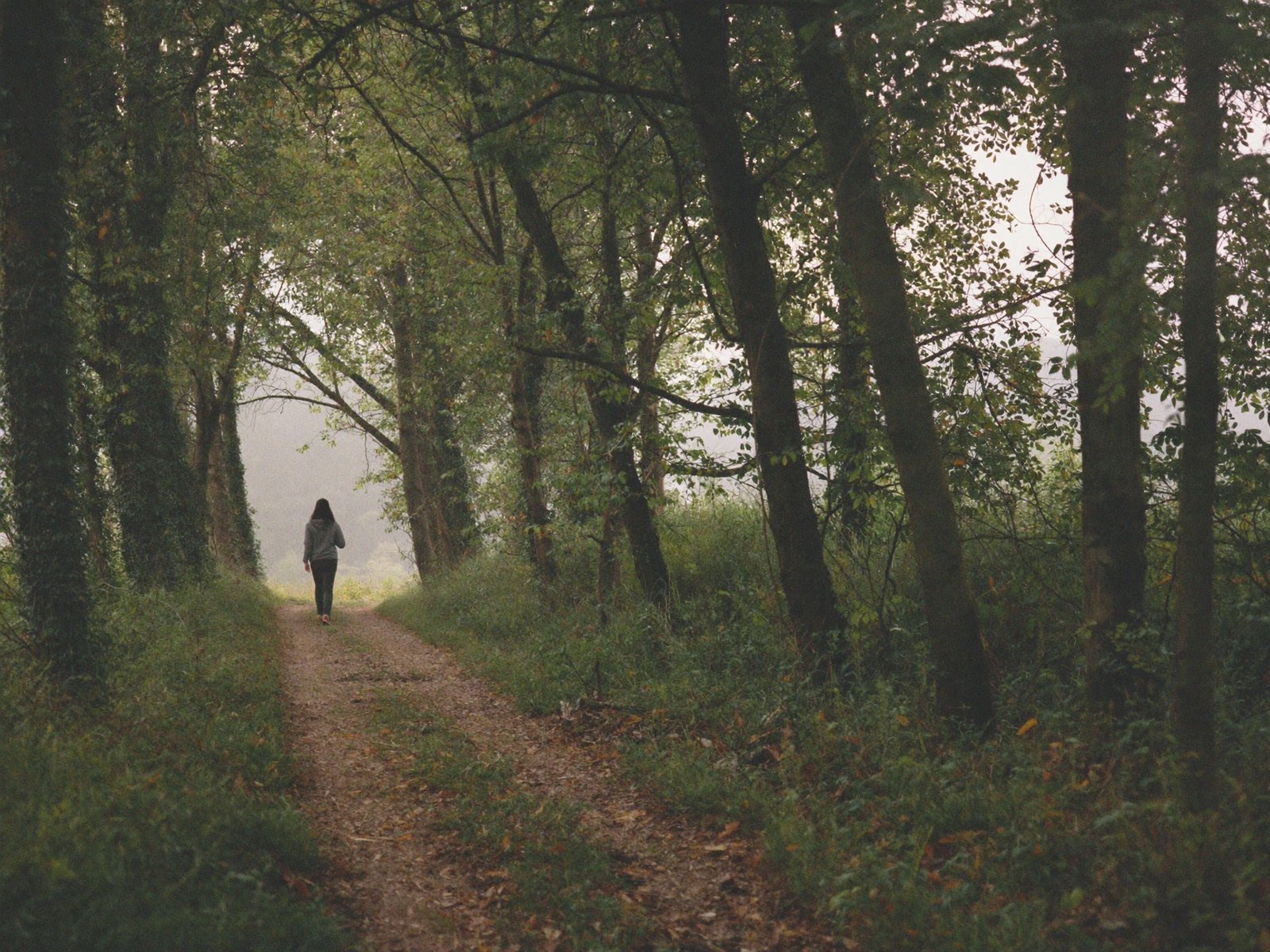 Person walking slowly along a quiet woodland path